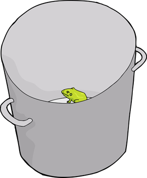 frog in bucket