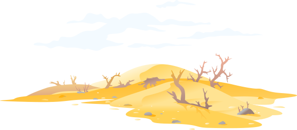 dried up soil from a drought