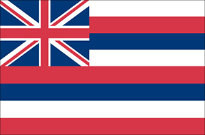 State flag of Hawaii
