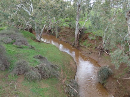 Erosion sediments in Light River, Australia
