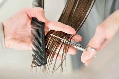 Hairdresser cuts hair of a woman