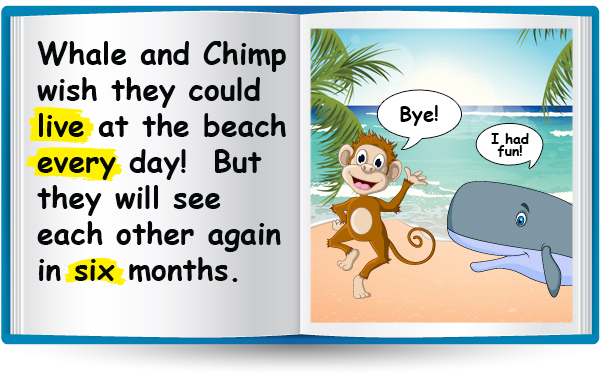 Whale and Chimp wish they could live at the beach every day! But they will see each other again in six months.