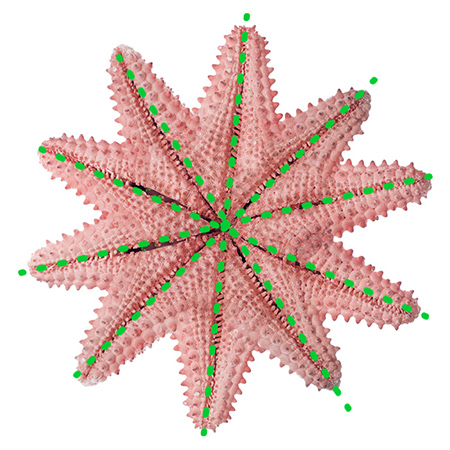 Image after translation.