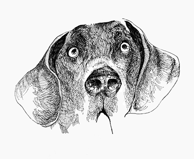 The same sketch as above, with the big eye resized to normal.