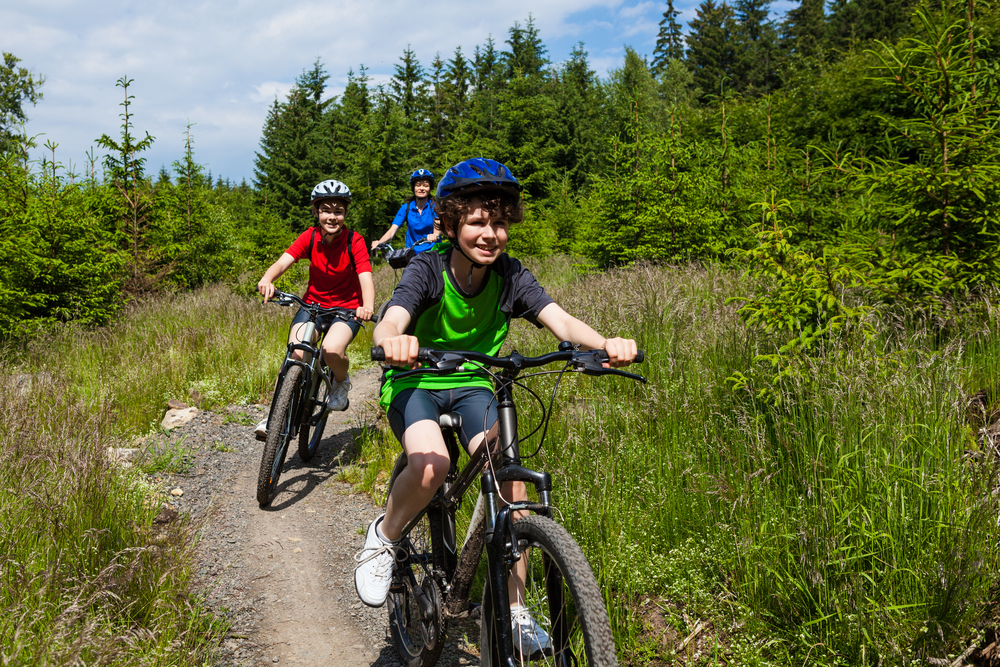Active family mountain biking