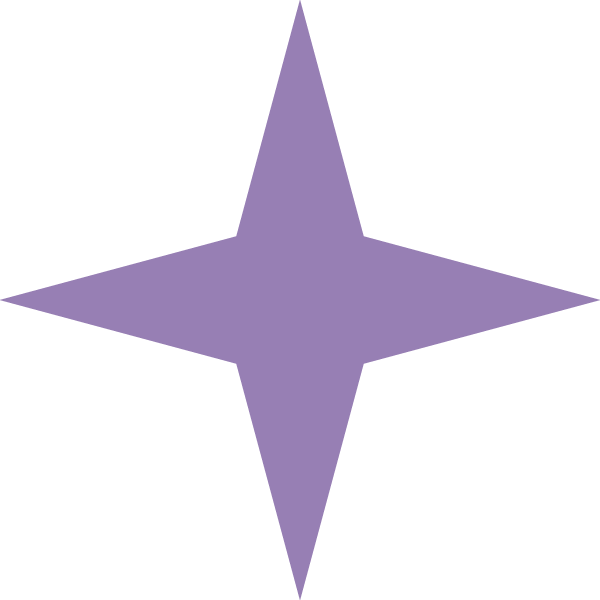 A 4 pointed star with 8 angles and 8 sides.