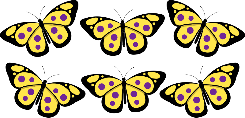 six butterflies with 8 dots on their wings