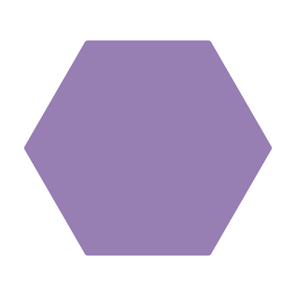 a polygon with 6 sides and 6 angles, shaped like a hexagon.