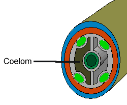 By KDS444 (Own work) [CC-BY-SA-3.0 (http://creativecommons.org/licenses/by-sa/3.0)], via Wikimedia Commons