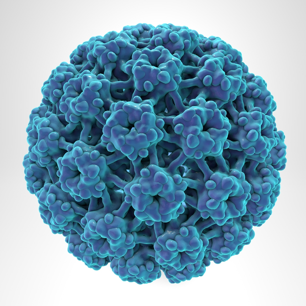 Close up 3D rendering of HPV