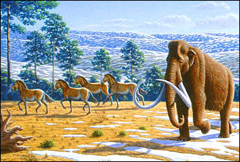 Ice Age horses