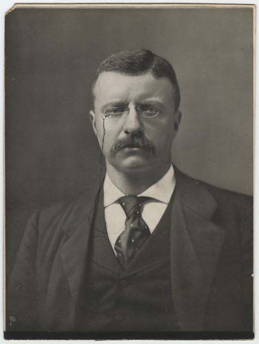 Theodore Roosevelt as governor of New York