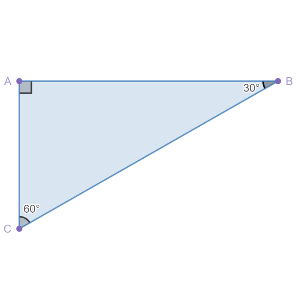 A detailed description of this image follows in the next paragraph.