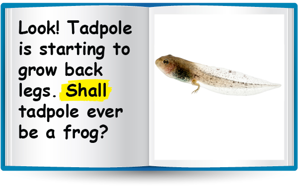 Look! Tadpole is starting to grow back legs. Shall tadpole ever be a frog?