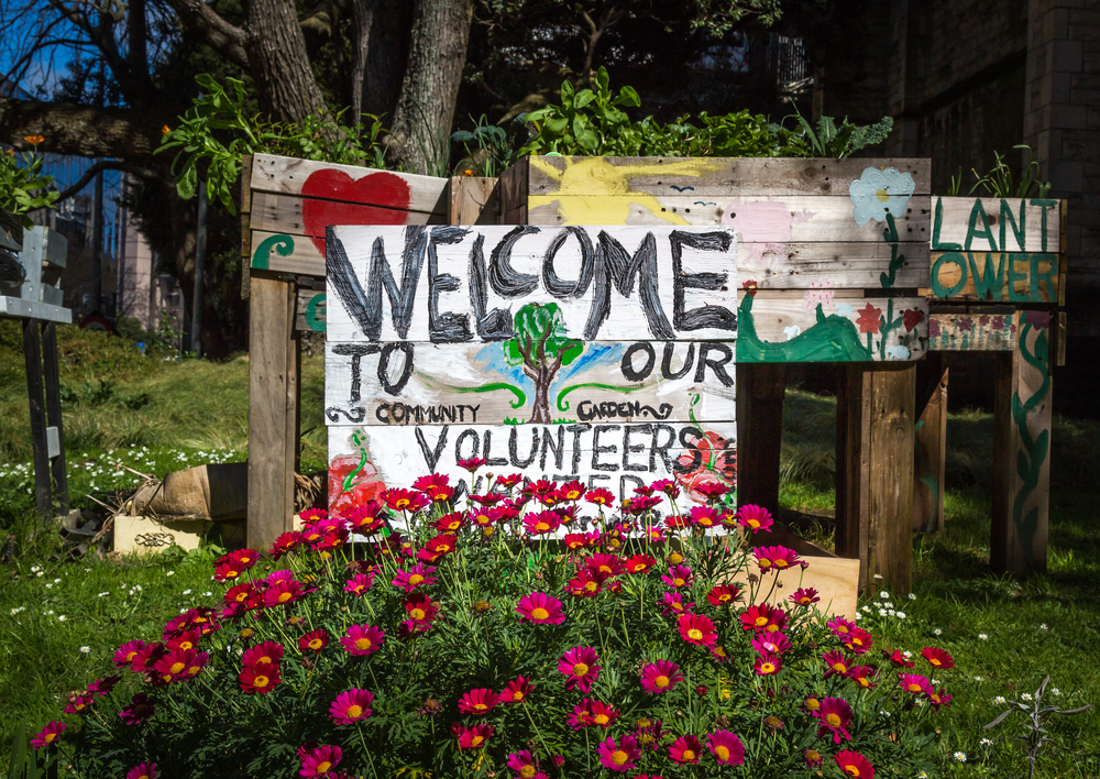 Community garden with a sign that says "Volunteers Wanted".