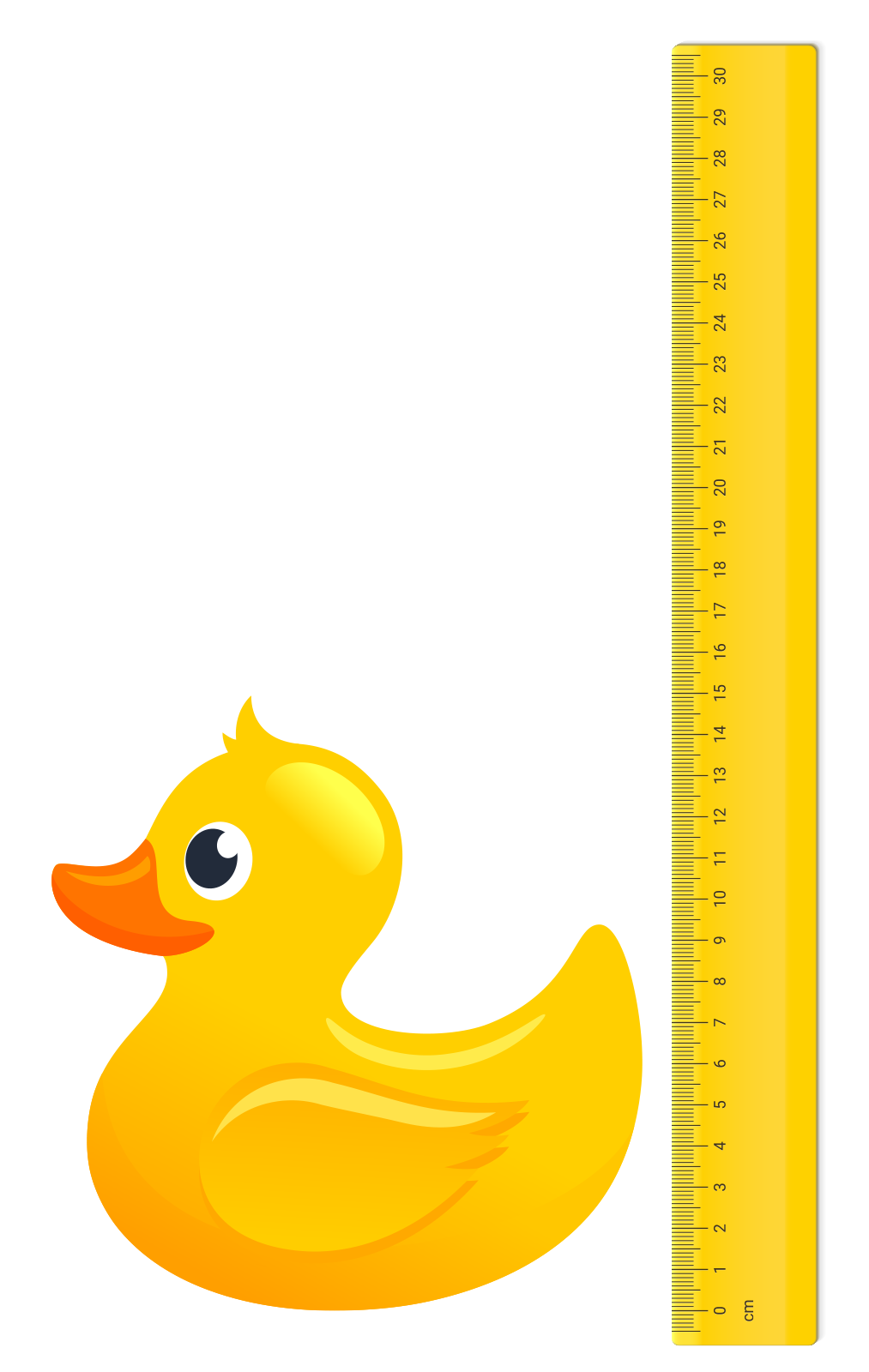 rubber duck next to ruler