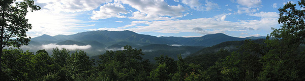 Attribution: ReverieHikes at en.wikipedia.org [GFDL (http://www.gnu.org/copyleft/fdl.html), from Wikimedia Commons