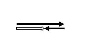 two parallel vectors being graphically added together