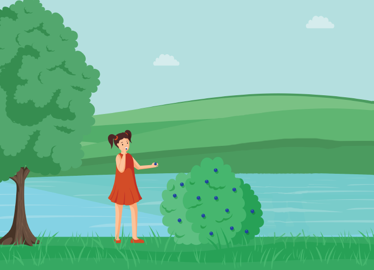 girl picking blueberries
