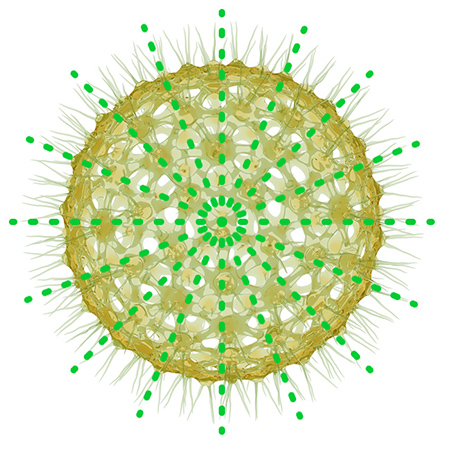 Image after translation.