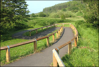 Access ramp to a nature preserve