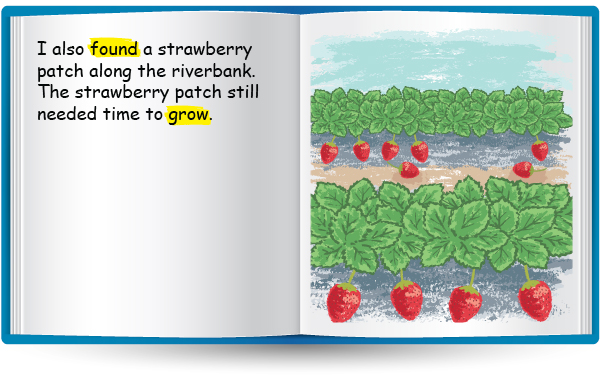 storybook slide7