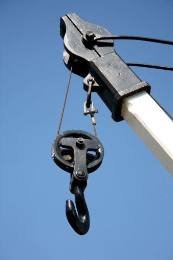 Crane hook