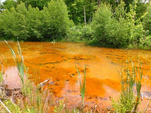 Acid Mine Drainage.