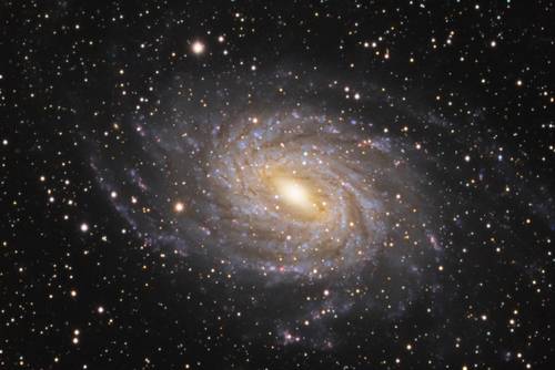 a spiral galaxy