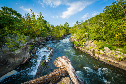 Rapids in the Potomac River at Great Falls, seen from Olmsted Island at Chesapeake & Ohio Canal National Historical Park, Maryland.