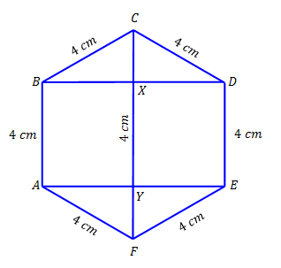 all sides of the hexagon are congruent