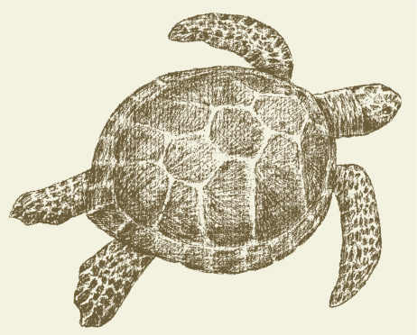 basic watercolor wash