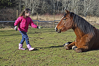 girl and horse