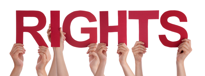 Your Rights