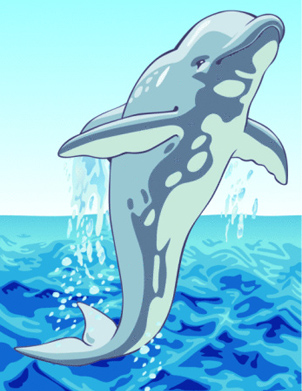 Dolphin jumping out of the water