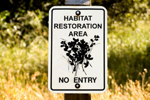 habitat restoration area