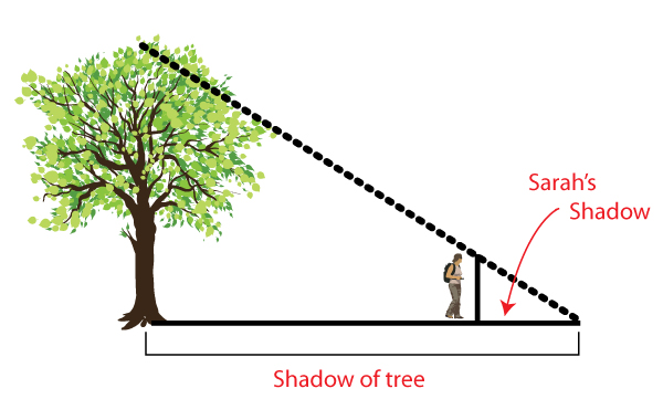 Name the Problem