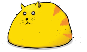 fat cat
