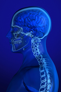 Postdlf, Licensed through CC-SA-BY 3.0 (http://creativecommons.org/licenses/by-sa/3.0/), via Wikimedia Commons