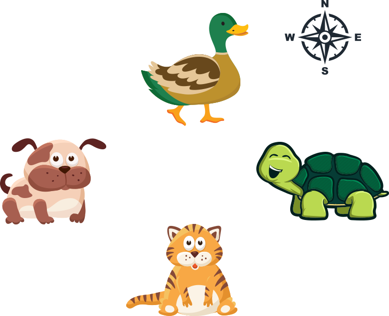 compass with a duck, turtle, cat, and a dog