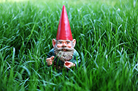 gnome