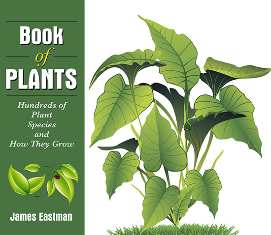 Non-fiction Book Cover