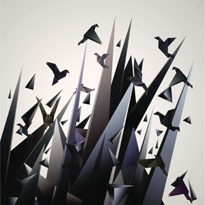 shape transformations