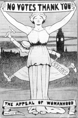 No Votes Thank You - The Appeal of Womanhood by Harold Bird.