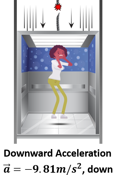 This is free fall thus there is no normal force. The apparent weight is zero which is called weightlessness.<br><br>F<sub>normal</sub> = 0
