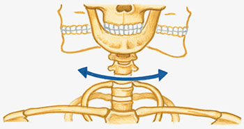 Neck Diagram