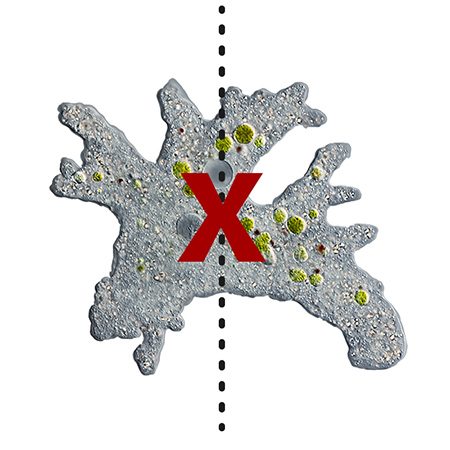 Image after translation.