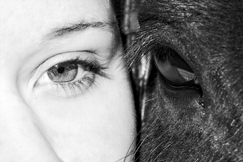Close up of a woman's and horse's eye in black and white