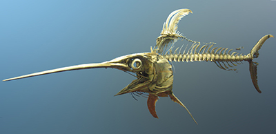 Postdlf, Licensed through CC-SA-BY 3.0 (http://creativecommons.org/licenses/by-sa/3.0/), via Wikimedia Commons