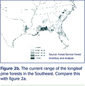 The current range of the longleaf pine forests in the Southeast. Compare this with Figure 2a.